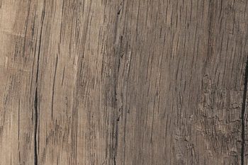 grainwood-olmo-corteccia